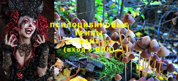 гашик Вяземский