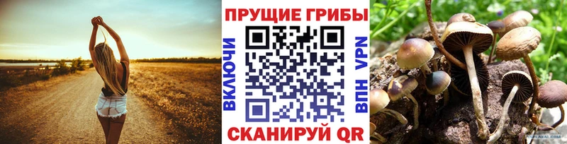 Псилоцибиновые грибы GOLDEN TEACHER  MEGA зеркало  Чулым 